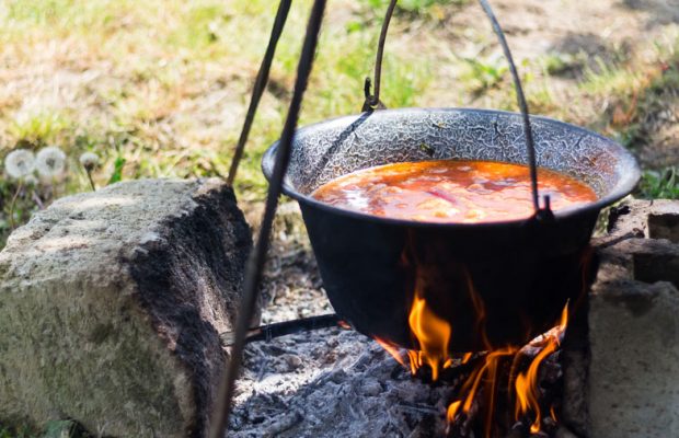 Galgagyörki piknik V.